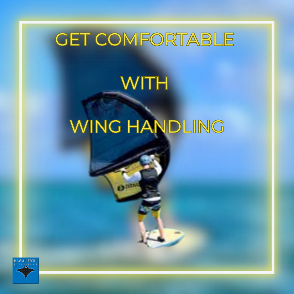 Mastering Wing Handling Techniques