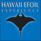 Hawaii Efoil Experience